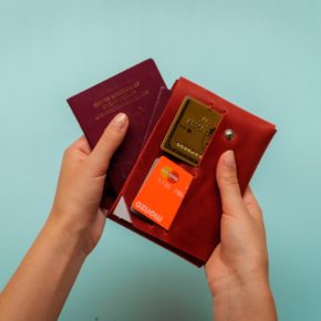 leather family passport holder